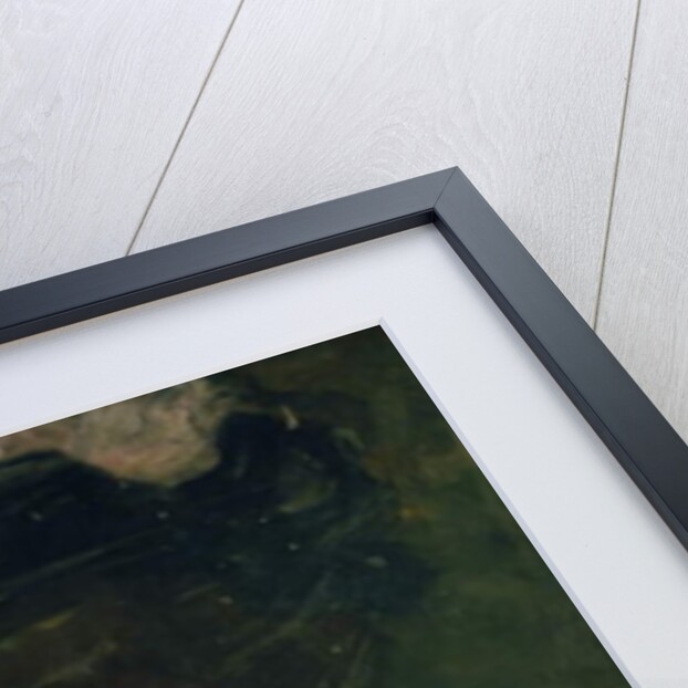 Portrait of Sarah Bernhardt by Dudley Hardy