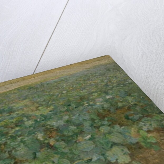 The Turnip Field by William Edward Stott