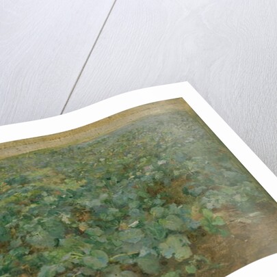 The Turnip Field by William Edward Stott