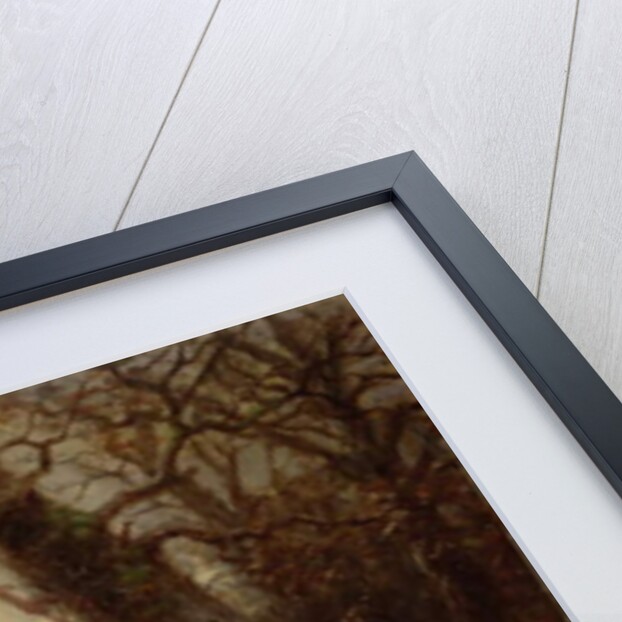 Oliver Cromwell Questioning a Prisoner, 1895 by Ernest Crofts