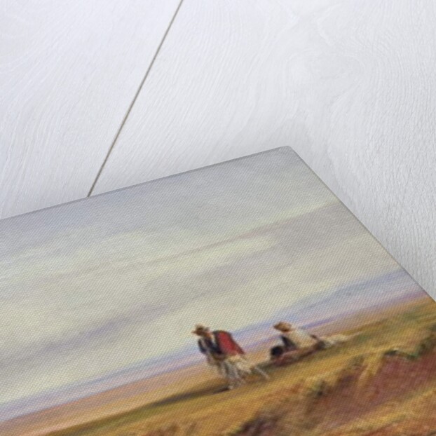 Buon Ricovero, In the Roman Campagna, Italy, 1878 by Edward Lear