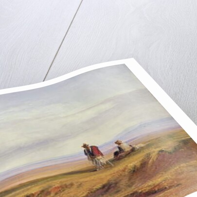 Buon Ricovero, In the Roman Campagna, Italy, 1878 by Edward Lear