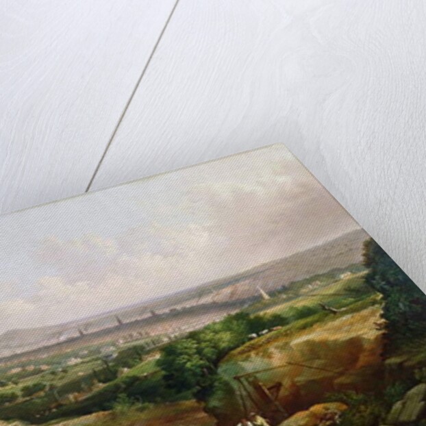 A View of Sheffield from Psalter Lane, c.1850 by J. McIntyre