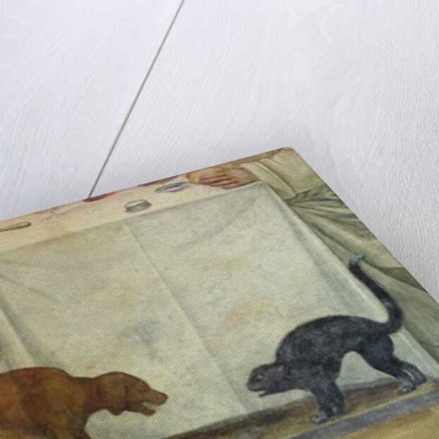 The Life of St. Benedict by L. & Sodoma G. (1477-1549) Signorelli