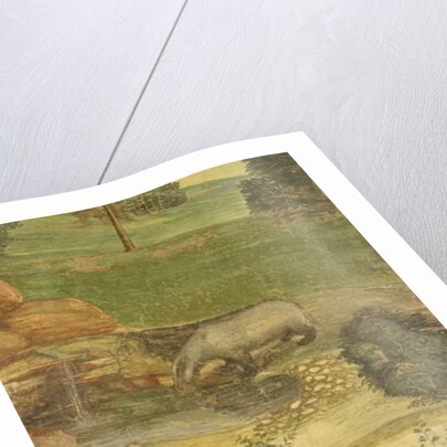 The Life of St. Benedict by L. & Sodoma G. Signorelli