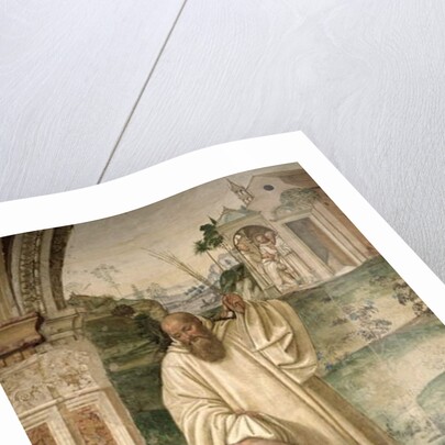 The Life of St. Benedict by L. & Sodoma G. (1477-1549) Signorelli