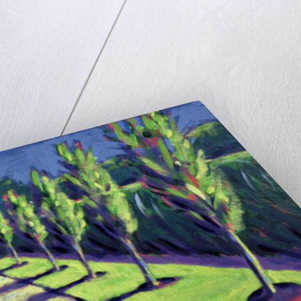 Avenue by Sara Hayward