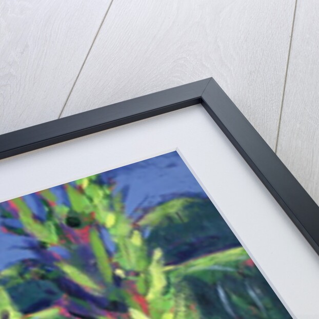 Avenue by Sara Hayward