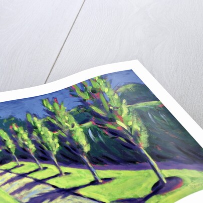 Avenue by Sara Hayward