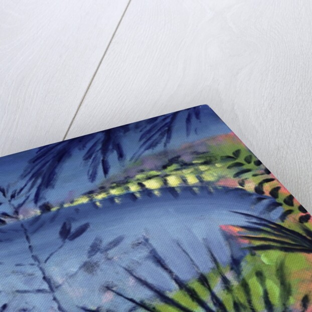 Across the Lake by Sara Hayward