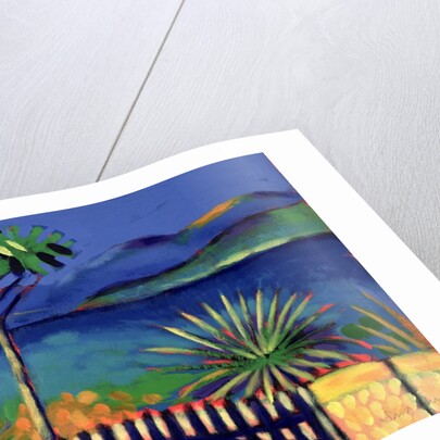 Mediterranean Garden by Sara Hayward