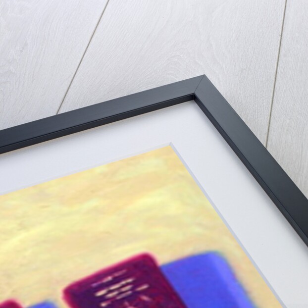 Four Passports by Sara Hayward