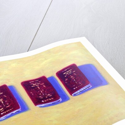 Four Passports by Sara Hayward