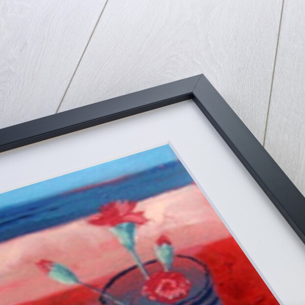 Carnations by Sara Hayward
