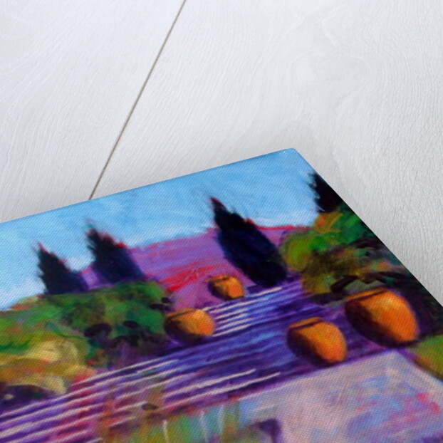 Garden Pots by Sara Hayward