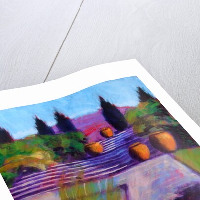 Garden Pots by Sara Hayward