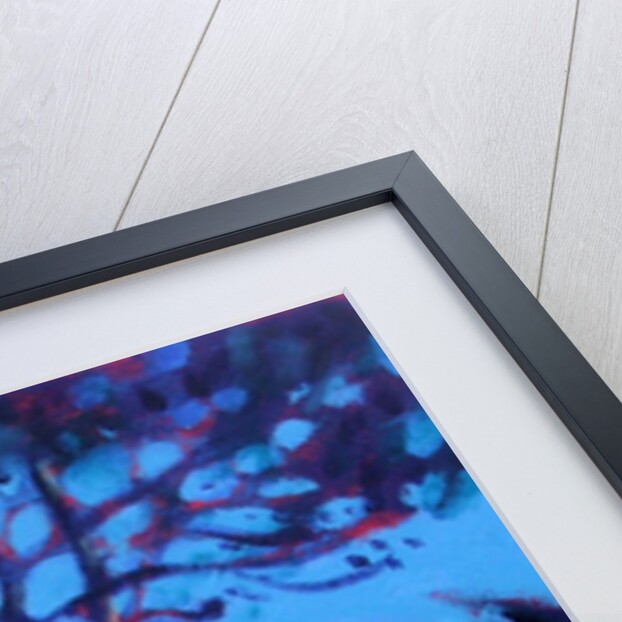 Pine Trees by Sara Hayward