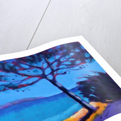 Pine Trees by Sara Hayward