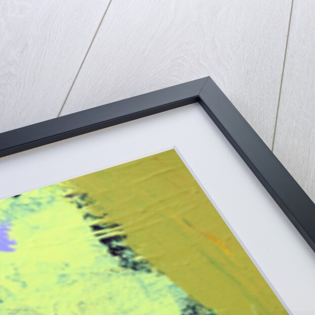 Abstract 36, 2014 by Sara Hayward