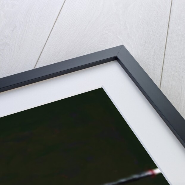 Start, 2009 by Sara Hayward