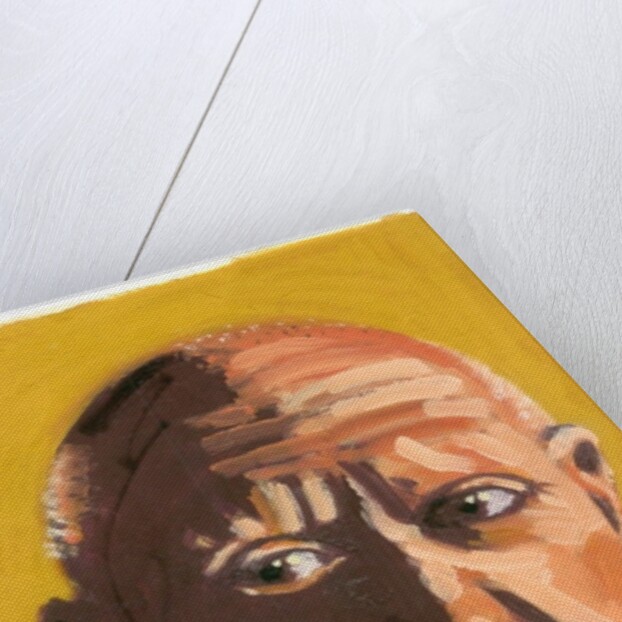 Pablo Picasso, 2008 by Sara Hayward