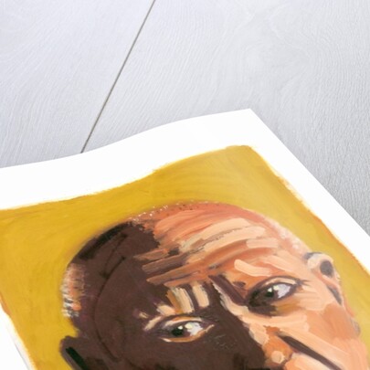 Pablo Picasso, 2008 by Sara Hayward