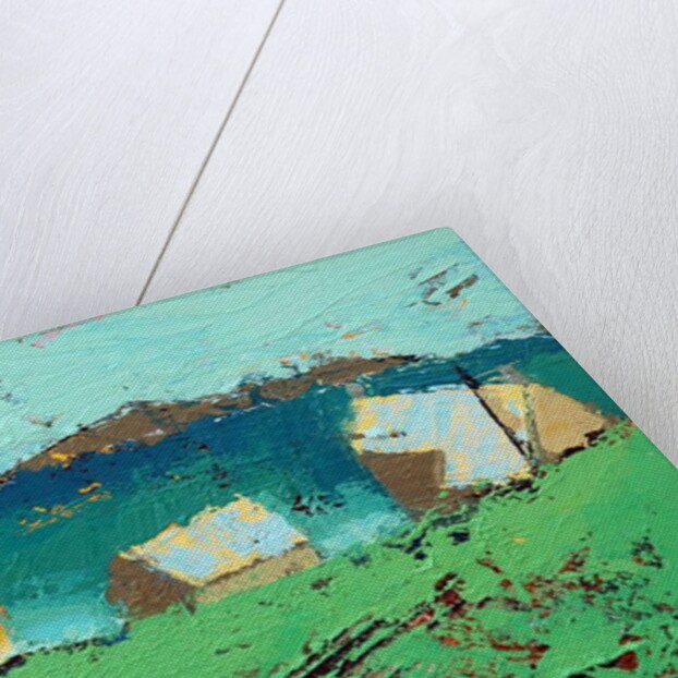 Farmstead Iona, 2019 by Sara Hayward