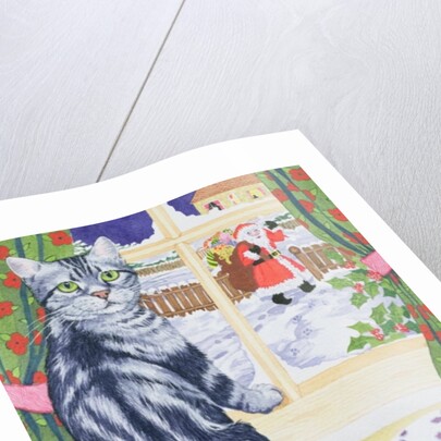 A Christmas visitor for Toby by Suzanne Bailey