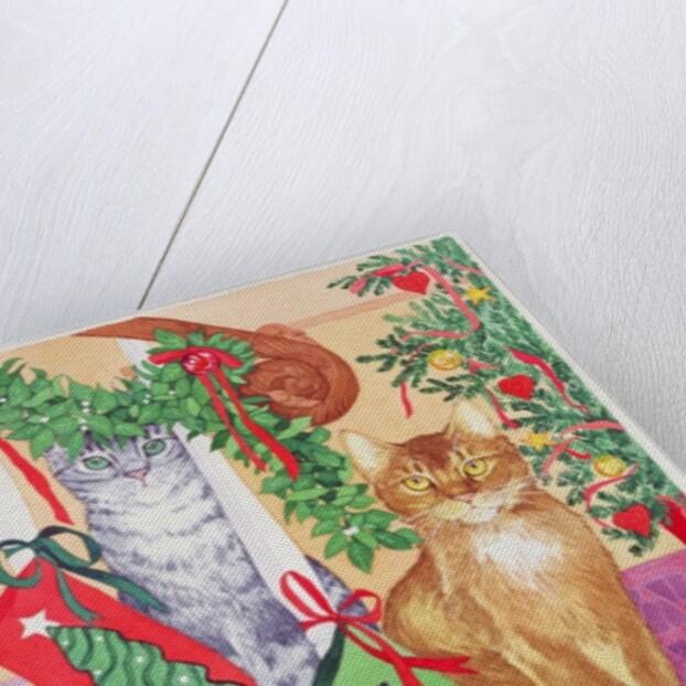 Cats on the stairs by Suzanne Bailey