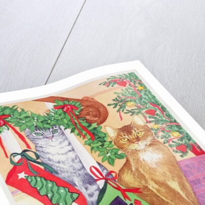 Cats on the stairs by Suzanne Bailey