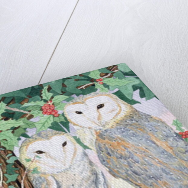 Barn Owls by Suzanne Bailey