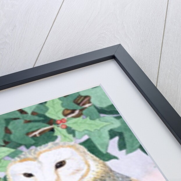 Barn Owls by Suzanne Bailey