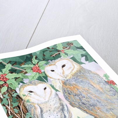 Barn Owls by Suzanne Bailey