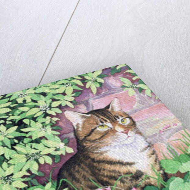 Jackie's Cat by Suzanne Bailey