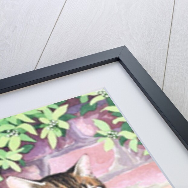 Jackie's Cat by Suzanne Bailey