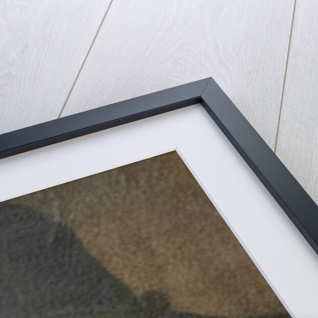 Portrait of a young man by Ludovico Carracci