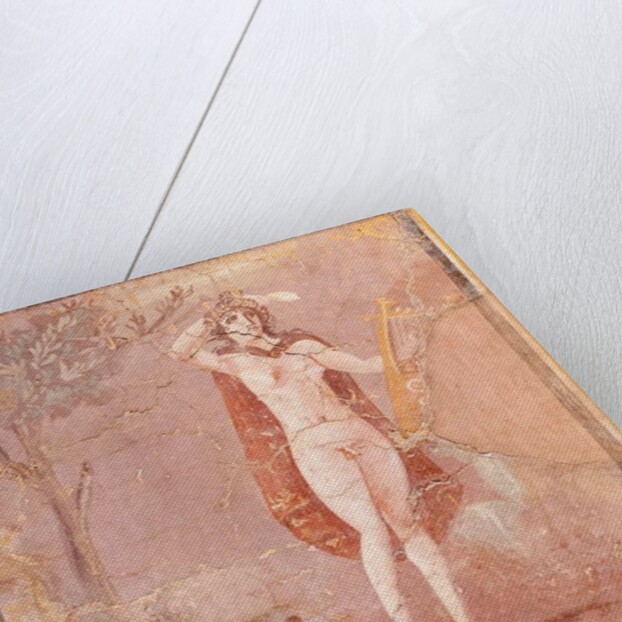 Hermaphroditus, fragment by Roman