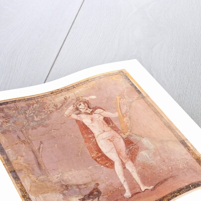 Hermaphroditus, fragment by Roman