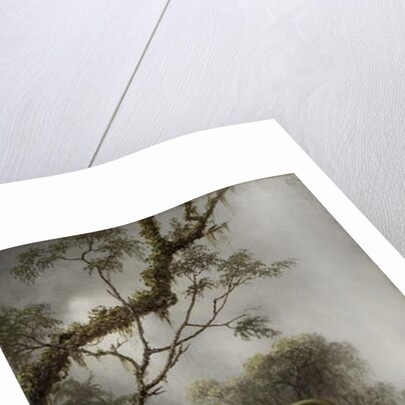 Hummingbird with White Orchid, 1875-1885 by Martin Johnson Heade