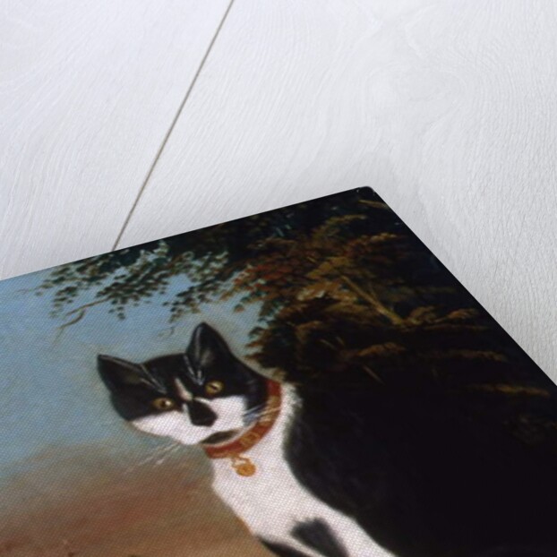 Minnie from the Outskirts of Village, 1876 by R.P. Thrall