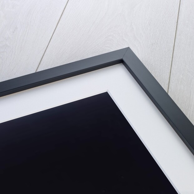 Tinkle, a Cat, 1883 by American School