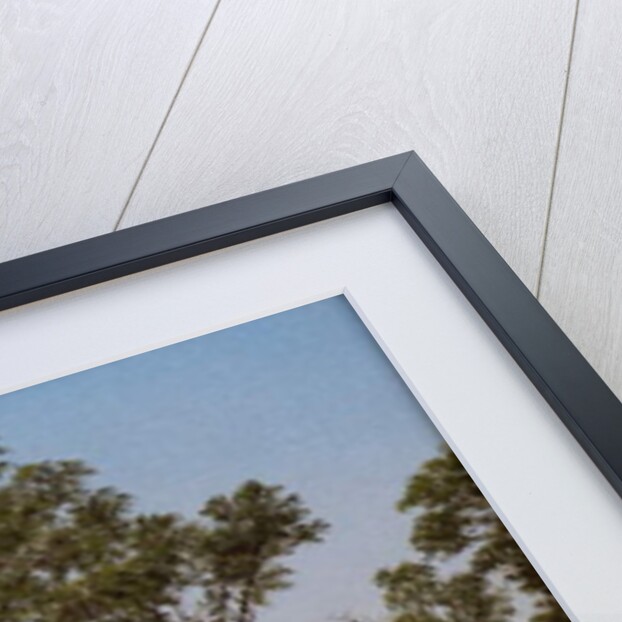 Young Elms by David Johnson