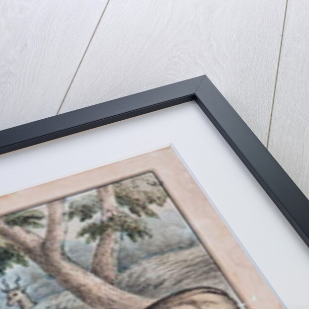 Sacred Cattle From India by T. W. Strong