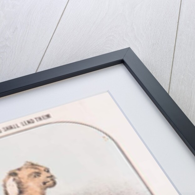 The Lion and the Lamb Shall Lie Down Together and The Little Child Shall Lead Them, c.1840 by T. W. Strong