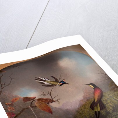 Hummingbirds: Two 'Sungems' and a 'Crimson Topaz', 1866 by Martin Johnson Heade