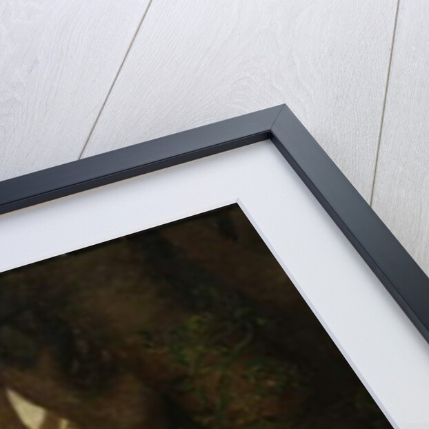 Red Jacket; Chief of Seneca Indians, 1830 by American School