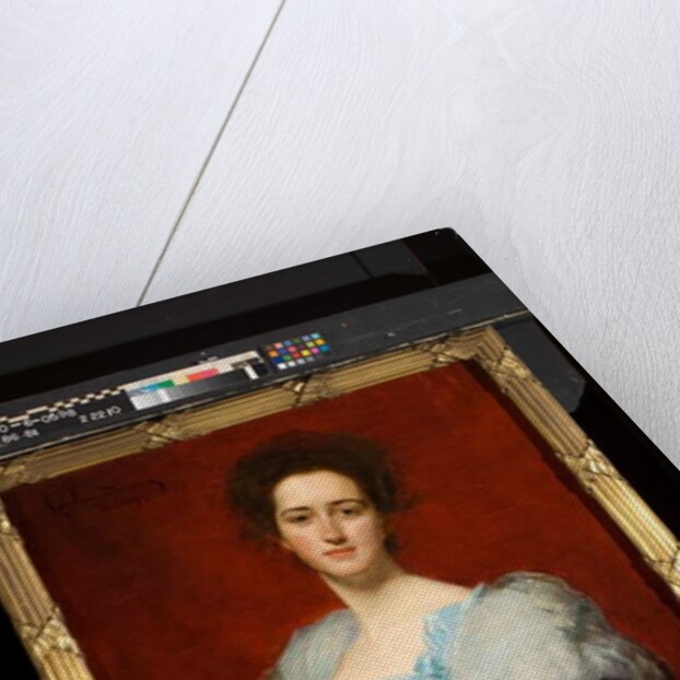 Emily Vanderbilt Sloane Hammond, 1894 by Charles Emile Auguste Carolus-Duran