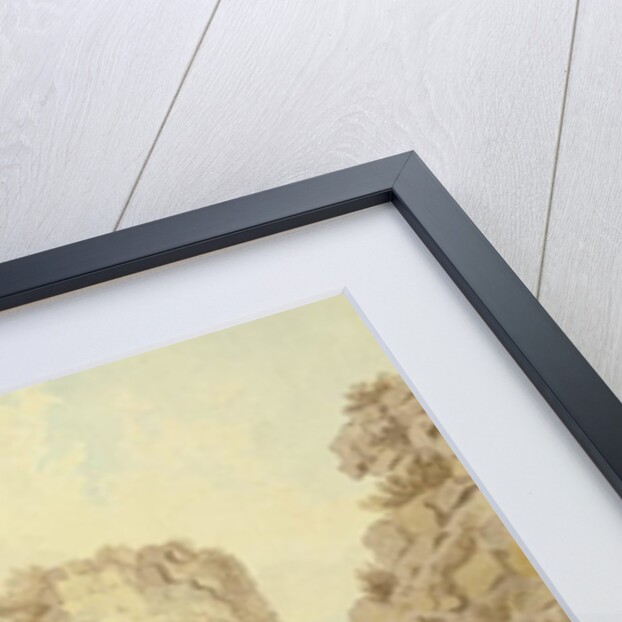 Ruins of Pevensey Castle by Michael Rooker