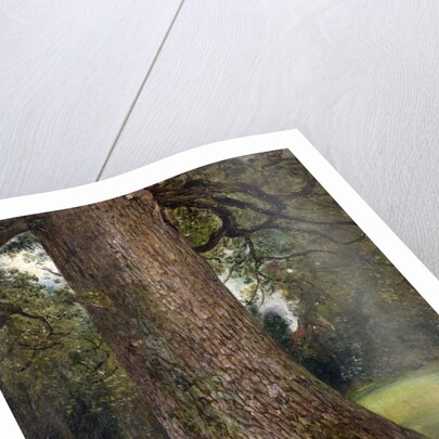 Study of the Trunk of an Elm Tree, c.1821 by John Constable