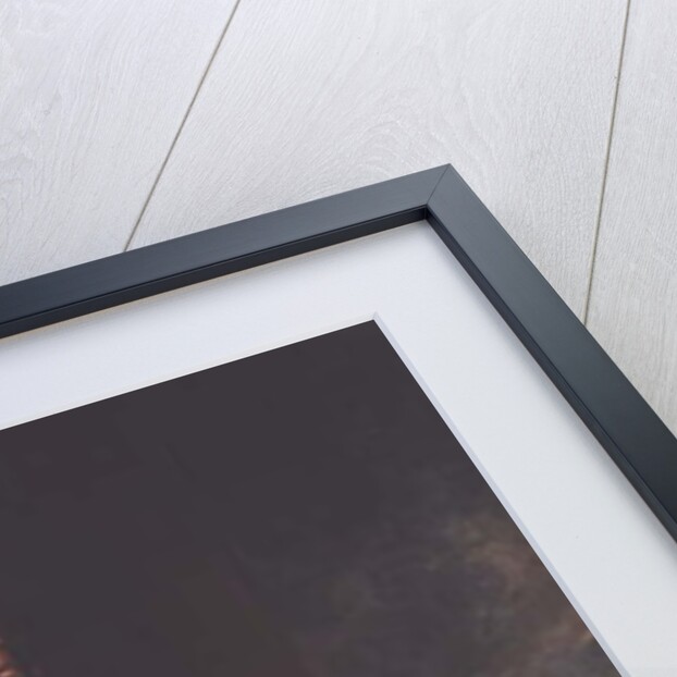 John Fane, 10th Earl of Westmorland by Thomas Lawrence